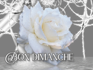 Gif animé Bon dimanche rose blanche